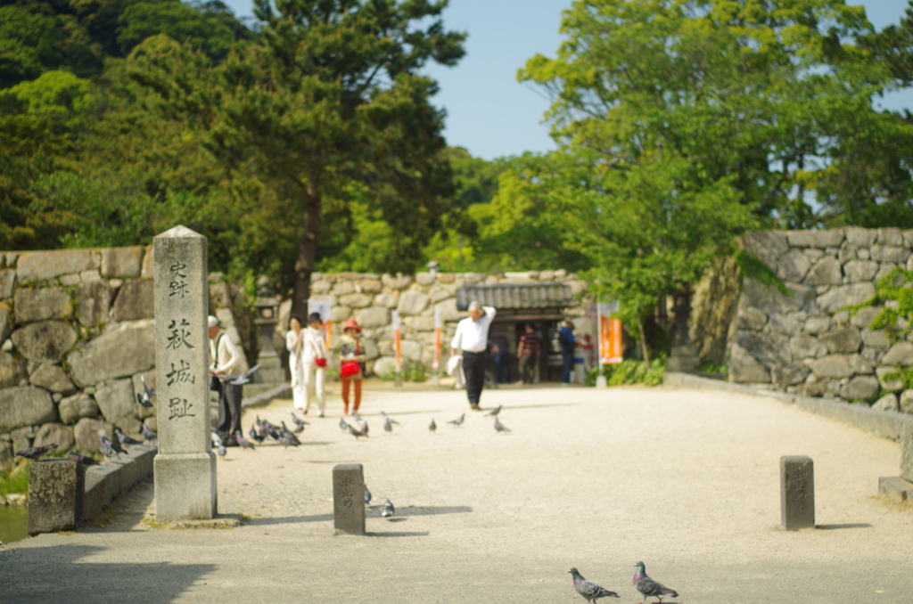 f:id:pochihiko_inunosuke:20151115161627j:plain f:id:pochihiko_inunosuke:20151115161627j:plain