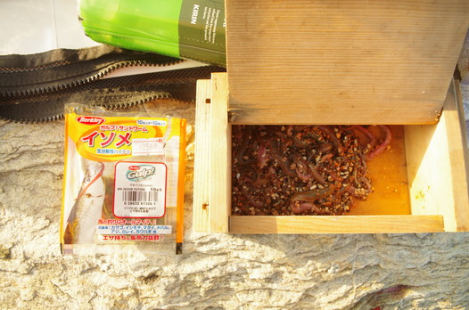 投げ釣りジャンキーの僕が 本気でオススメの イソメ とその特徴についてご紹介 俺のぬし釣り