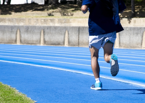 f:id:pochihiko_inunosuke:20190227122403p:plain f:id:pochihiko_inunosuke:20190227122403p:plain