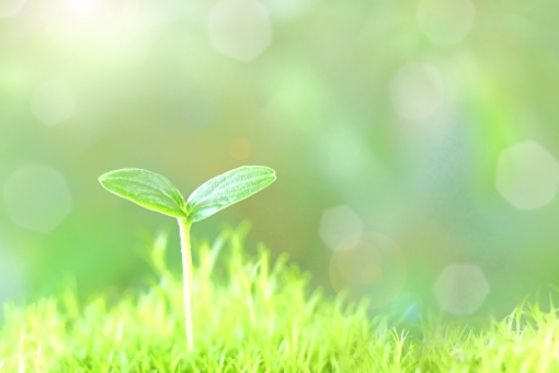 f:id:pochihiko_inunosuke:20190923214443p:plain f:id:pochihiko_inunosuke:20190923214443p:plain