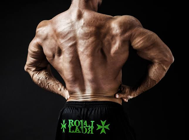 f:id:pochihiko_inunosuke:20191013131401p:plain