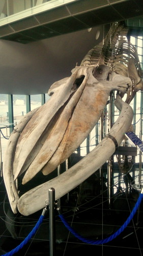 f:id:pochihiko_inunosuke:20191210234532j:plain f:id:pochihiko_inunosuke:20191210234532j:plain