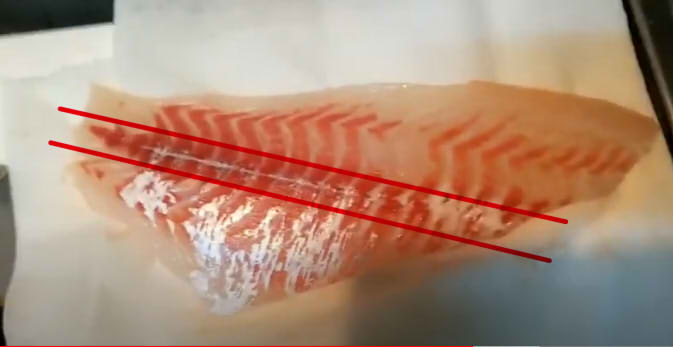 アジを塩で締めて食う。タイを頂いたので捌く。 ここ最近の調理日記 俺のぬし釣り