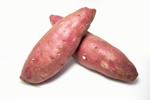 f:id:pochihiko_inunosuke:20210430144710p:plain