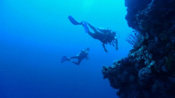 f:id:pochihiko_inunosuke:20220109181113p:plain