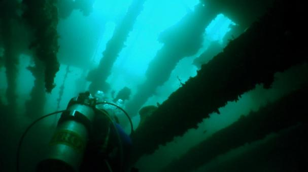 f:id:pochihiko_inunosuke:20220109182900p:plain