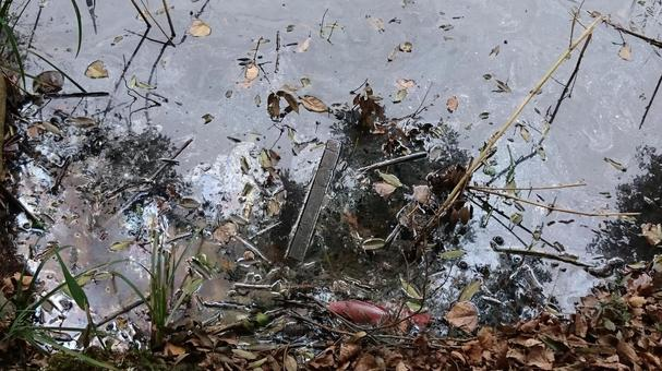 f:id:pochihiko_inunosuke:20220309214344p:plain