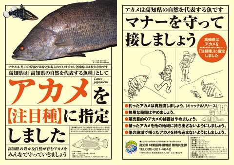 影のぬし】ウルトラ怪獣みたいな幻の魚、『アカメ』を約3000字で徹底