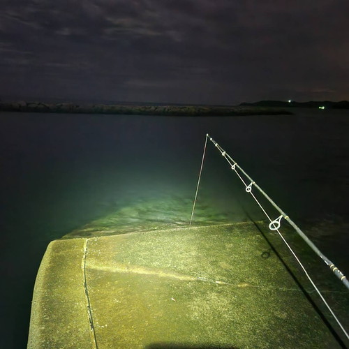 やたらと「仮説」に恵まれた秋の夜釣りを報告します🐟 ―肝心の釣果は･･？ ＠防府市小茅漁港と佐波川河口 - 俺のぬし釣り