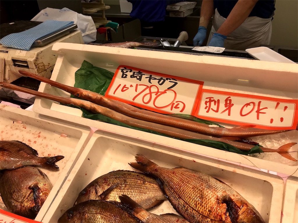 ヤガラ ポチ子の耳石コレクション