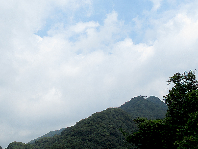 f:id:pochinokotodama:20170813184603j:plain f:id:pochinokotodama:20170813184603j:plain