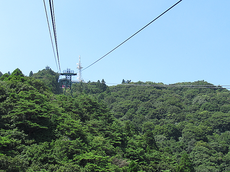 f:id:pochinokotodama:20170813185955j:plain f:id:pochinokotodama:20170813185955j:plain