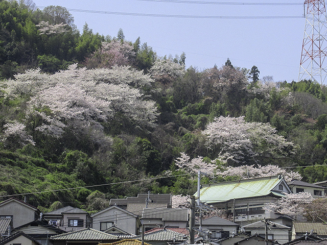 f:id:pochinokotodama:20180401182126j:plain f:id:pochinokotodama:20180401182126j:plain