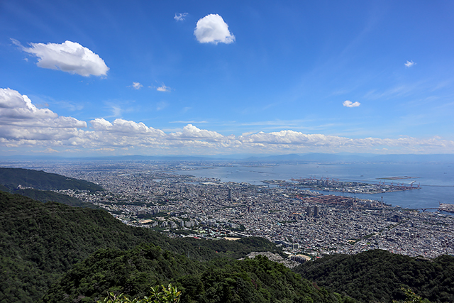 f:id:pochinokotodama:20190910132231j:plain f:id:pochinokotodama:20190910132231j:plain