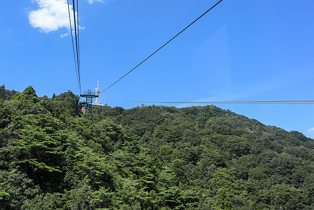 f:id:pochinokotodama:20190910145910j:plain f:id:pochinokotodama:20190910145910j:plain