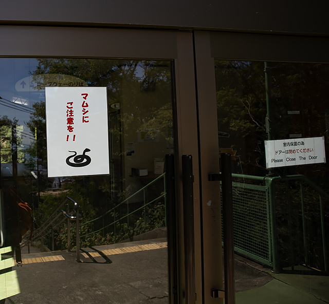 f:id:pochinokotodama:20190910190320j:plain f:id:pochinokotodama:20190910190320j:plain