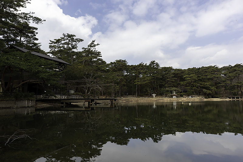 f:id:pochinokotodama:20200319101157p:plain f:id:pochinokotodama:20200319101157p:plain
