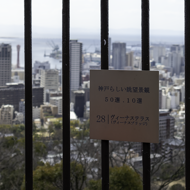 f:id:pochinokotodama:20200320195538p:plain f:id:pochinokotodama:20200320195538p:plain