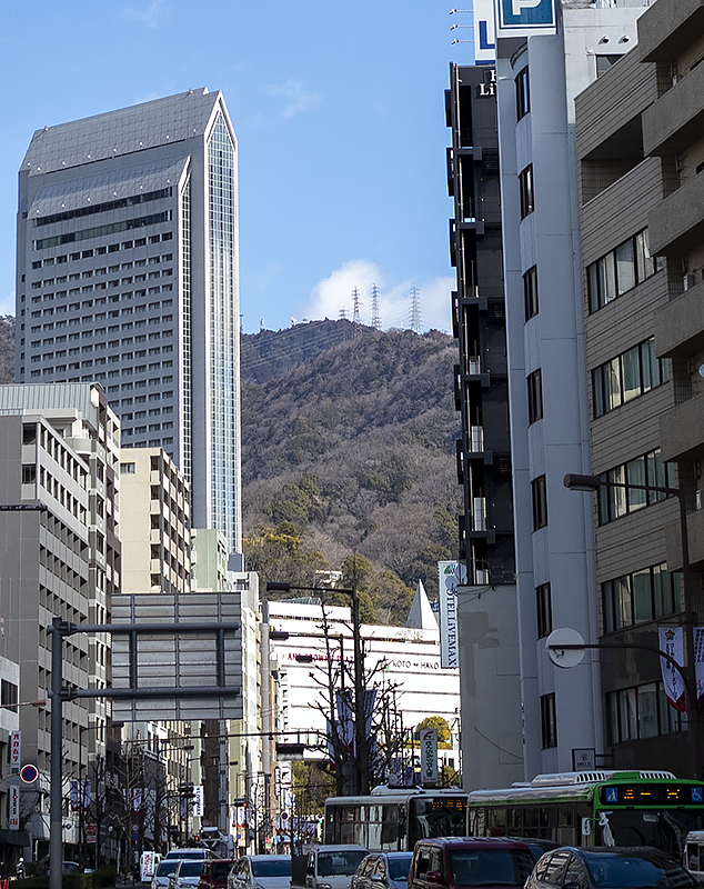 f:id:pochinokotodama:20210217140624p:plain