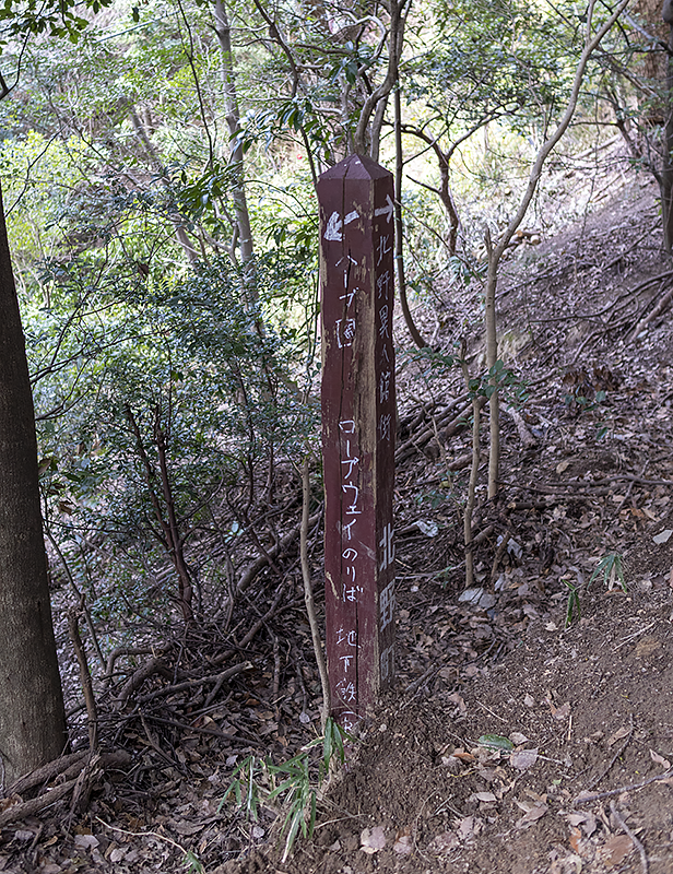 f:id:pochinokotodama:20210219105731p:plain