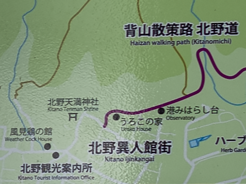 f:id:pochinokotodama:20210219172736p:plain