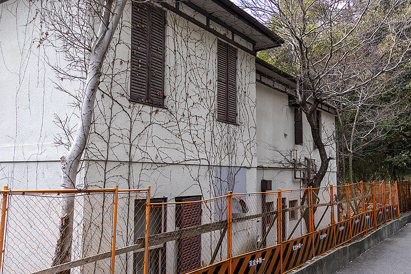 f:id:pochinokotodama:20210219174240p:plain