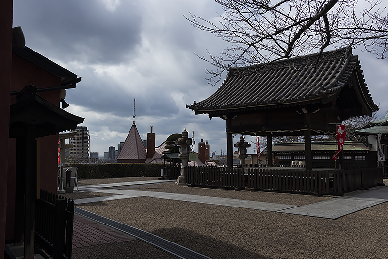 f:id:pochinokotodama:20210219180604p:plain