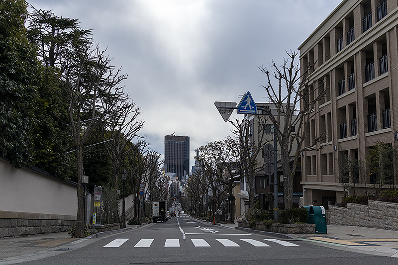 f:id:pochinokotodama:20210219184923p:plain