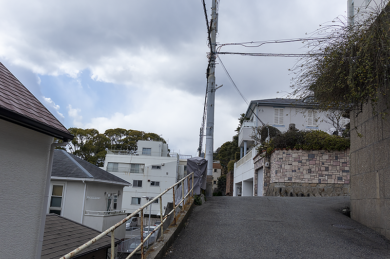 f:id:pochinokotodama:20210219191215p:plain