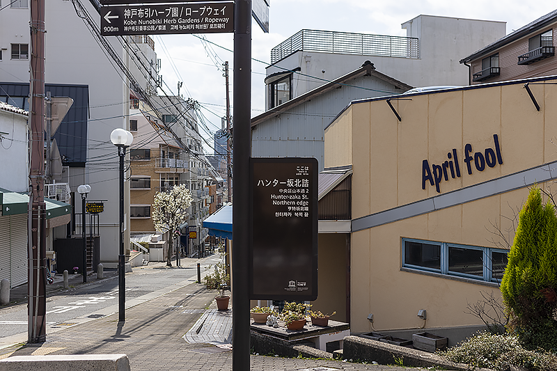 f:id:pochinokotodama:20210323125013p:plain
