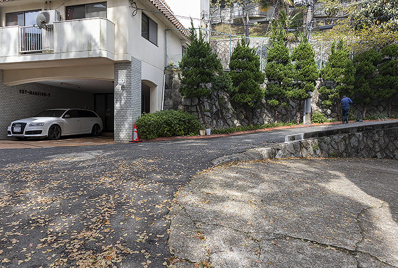 f:id:pochinokotodama:20210323150659p:plain