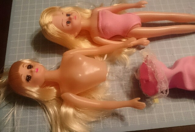 f:id:pochinyanchibinyan:20170414140946j:image