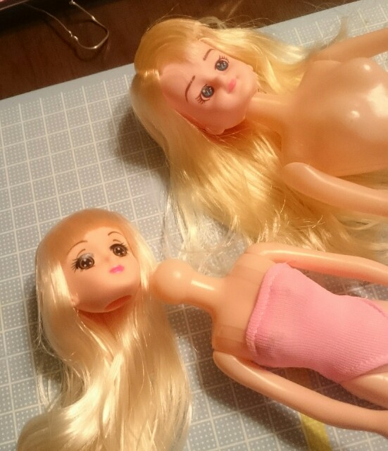 f:id:pochinyanchibinyan:20170414141236j:image