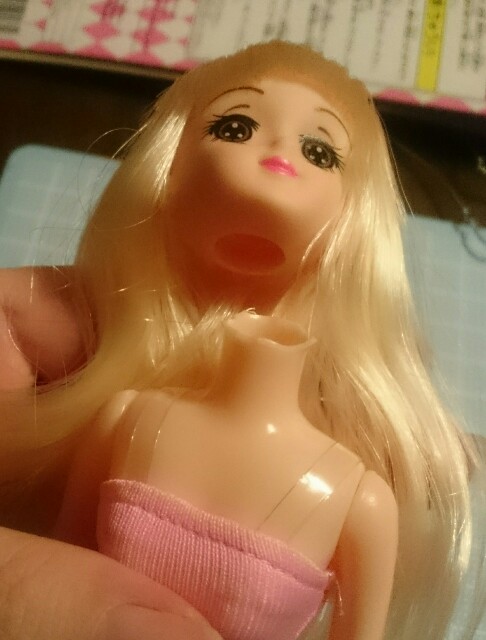 f:id:pochinyanchibinyan:20170414150722j:image