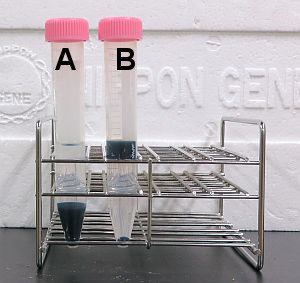 インク分析（パーカー・ペンマン サファイア Parker Penman Sapphire