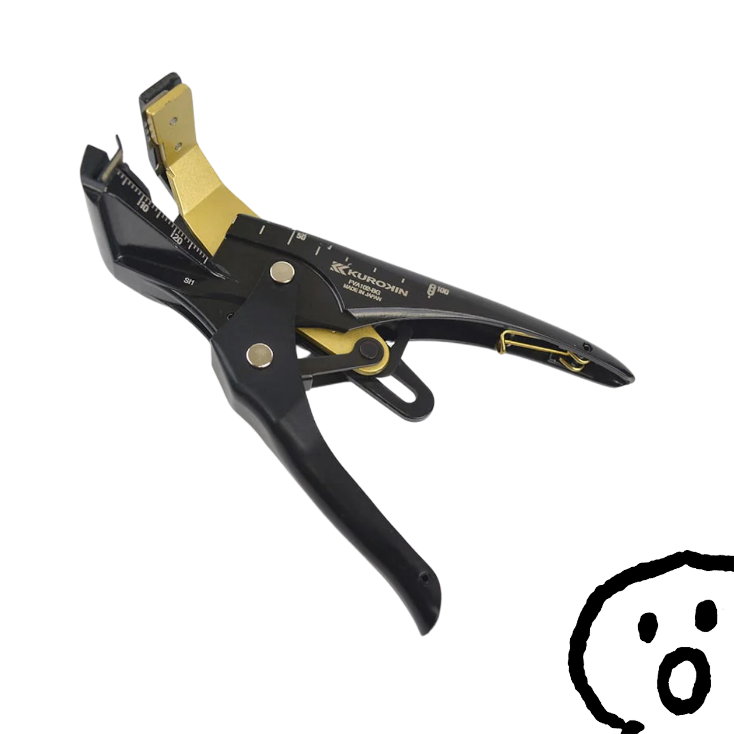 f:id:pocket_t:20241229143552p:image