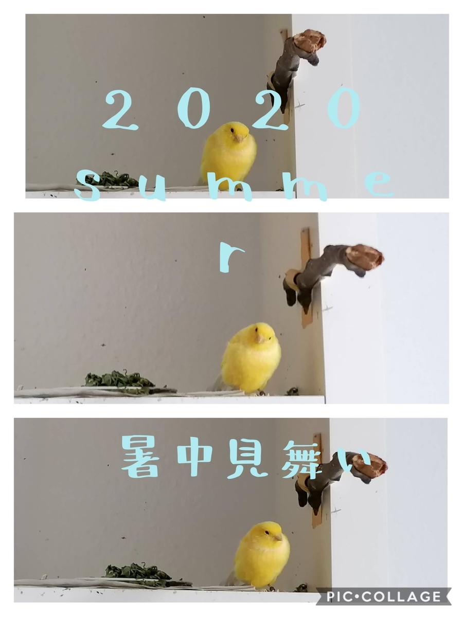 f:id:pockiepeach:20200813052245j:plain f:id:pockiepeach:20200813052245j:plain