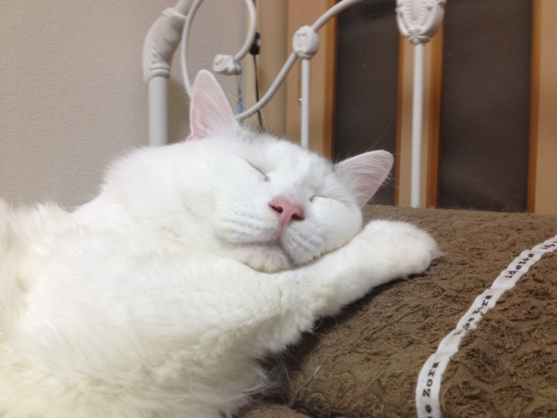 f:id:poco-a-poco109:20180407212053j:image:w360 f:id:poco-a-poco109:20180407212053j:image:w360