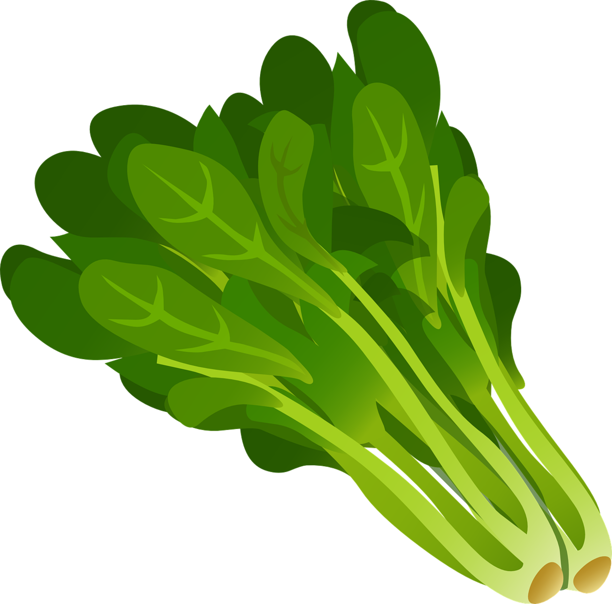 ほうれん草