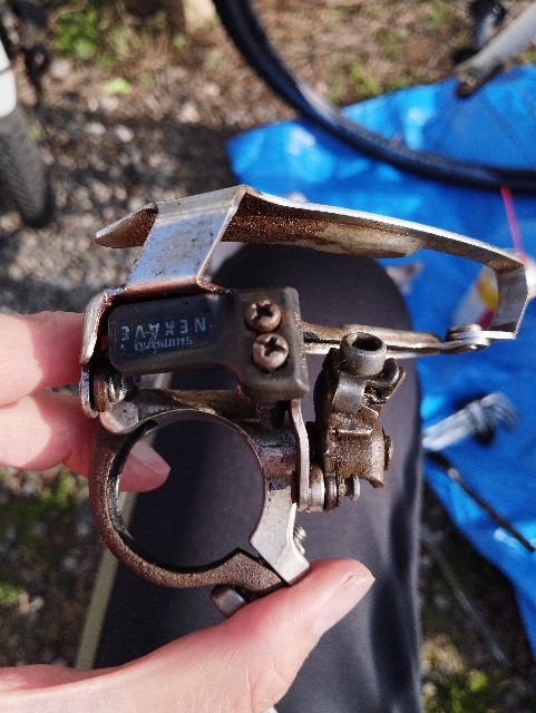 f:id:poco017:20250502151226j:image