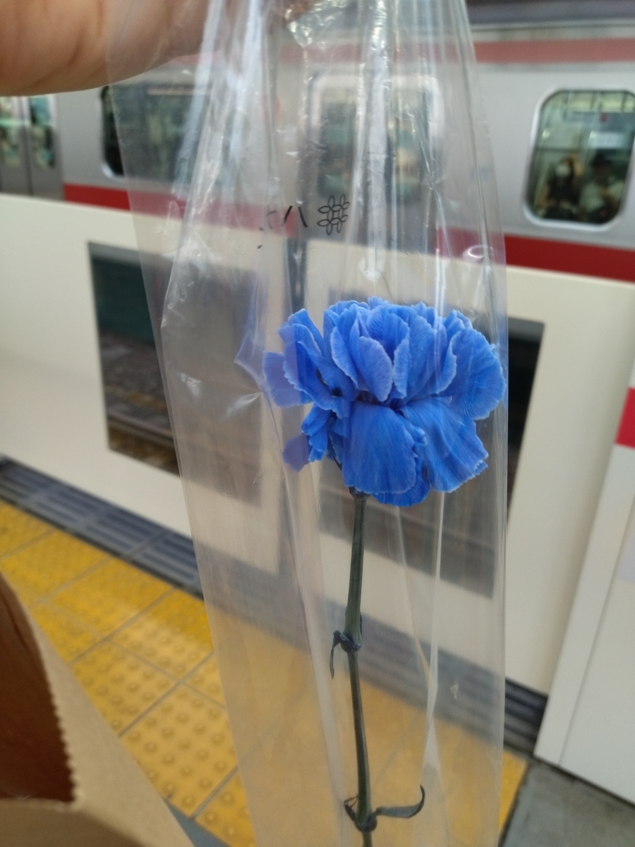 f:id:poco_chan:20210726181744j:plain
