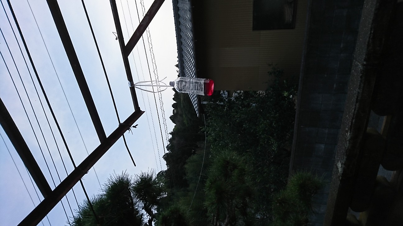 f:id:pocosuke0131:20180402212735j:image f:id:pocosuke0131:20180402212735j:image
