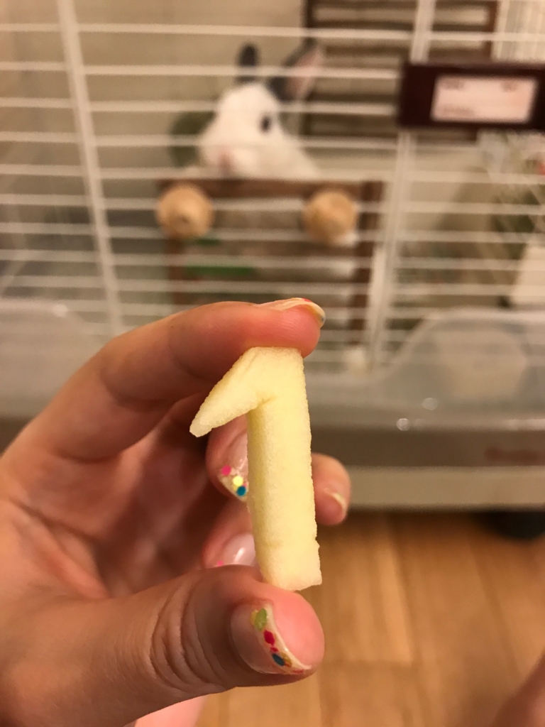 f:id:pocotainsg:20170523143148j:plain