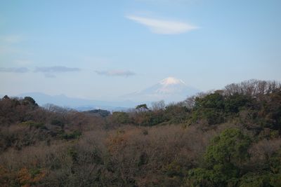 イメージ 4