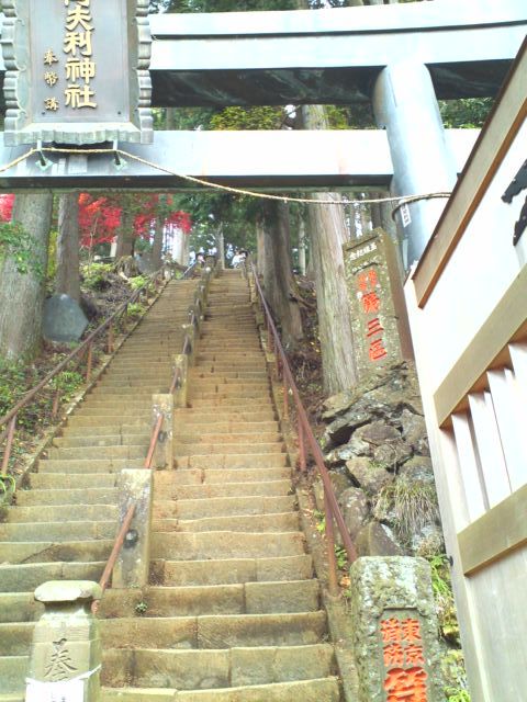 イメージ 3
