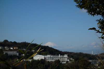 イメージ 3