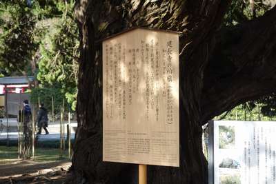 イメージ 8