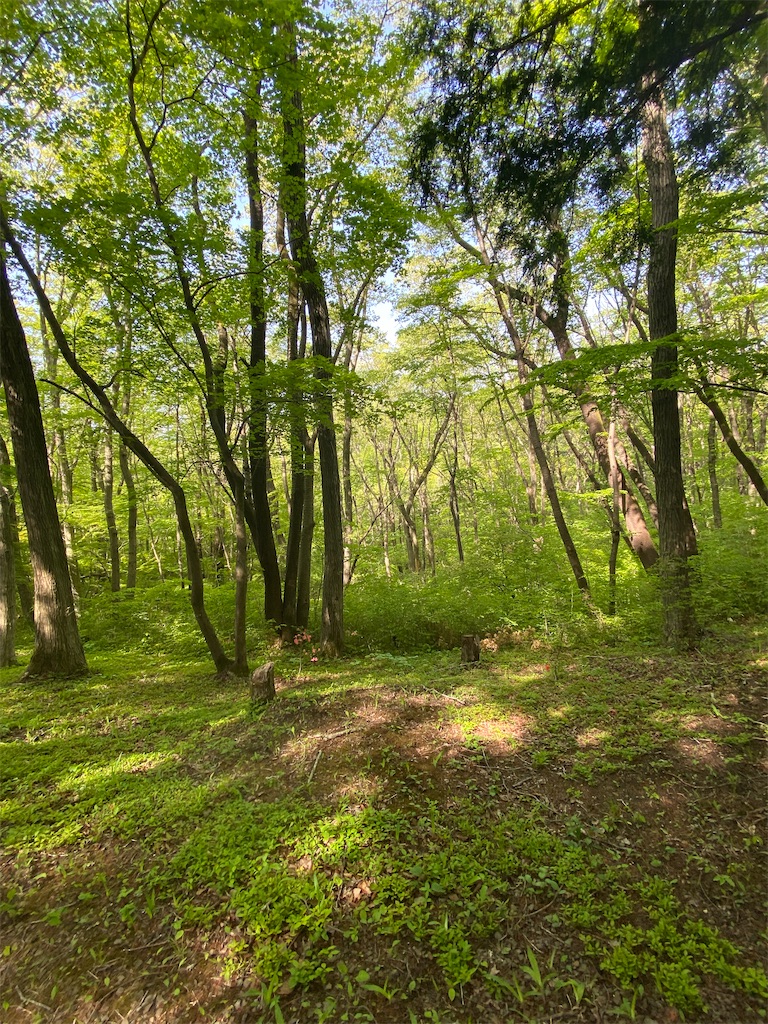 f:id:poetohshima:20230428212850j:image