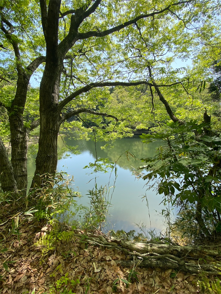 f:id:poetohshima:20230428212858j:image