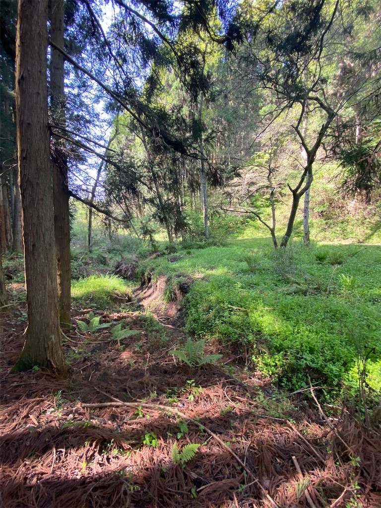 f:id:poetohshima:20230428212905j:image